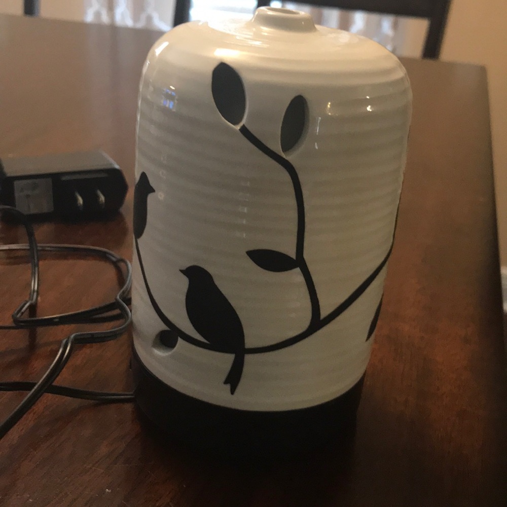 Beautiful diffuser